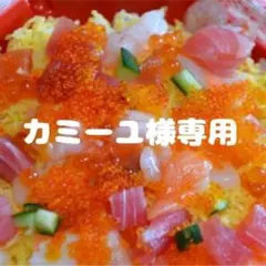 【レアシール】カミーユ・ビダン＆Zガンダム　 MG2-01 UR ウルトラレア