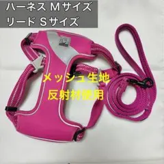 Item thumbnail for item b2e89953-d394-46e3-bcaf-f0ba3bb23eba