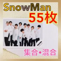 【公式写真55枚セット】　Snow Man　集合、混合　まとめ売り　　L482