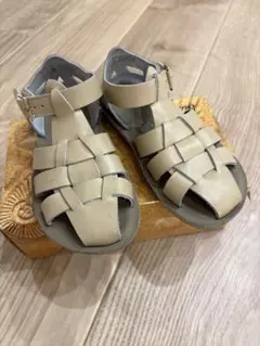 Salt Water Sandals SHARK サイズ11 LATTE