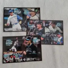 北海道日本ハムファイターズ シール 3枚セット　2024