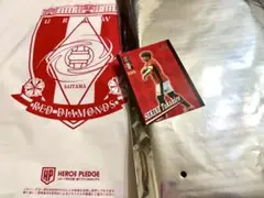 浦和レッズ　炎日　配布タオルとマッチデーカード