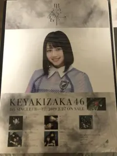 けやき坂46 渡邉美穂 黒い羊 ポスター 欅坂46