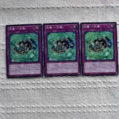 炎舞「天権」 3枚セット