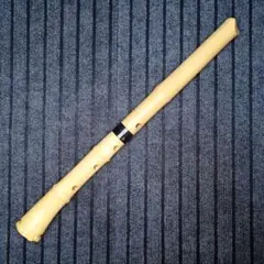 【未使用】尺八 樹脂製 一尺八寸管 key D 完全調律尺八 悠 41odejI5mSL._UF894,1000_QL80_.jpg