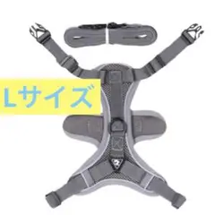 Item thumbnail for item 8b4ca832-89cf-4a3f-b7ec-2f40900a2750