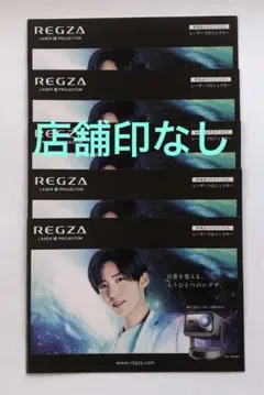 目黒蓮　REGZA カタログ　５冊セット