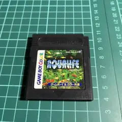 Item thumbnail for item f0a8a0c1-369f-49bf-aac4-813d36eb7d5c