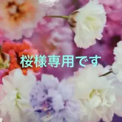 Item thumbnail for item c2d62ccb-b000-447c-9fe8-cde594d108b2