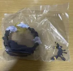 ポケモン　リーメント　ブラッキー