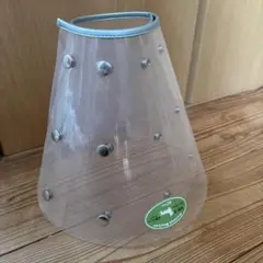 Item thumbnail for item 083145b6-f15d-467b-9b3e-3cd4bb6c301a