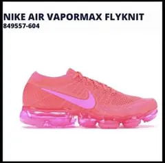 完売モデル【♕極レア✨極美品】AIR VAPORMAX FLYKNIT