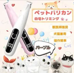 Item thumbnail for item e0c3e629-04d7-4642-a134-c21ca4c8e06b