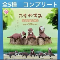ふちやすみ　コツメカワウソ　全5種　コンプリート　ガチャ　カワウソ　フィギュア