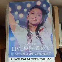 安室奈美恵 LIVE DAM STADIUM クリアファイル