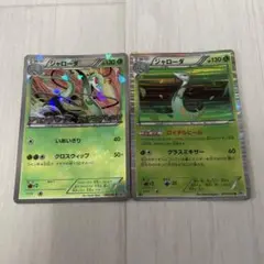 ジャローダ 2枚セット