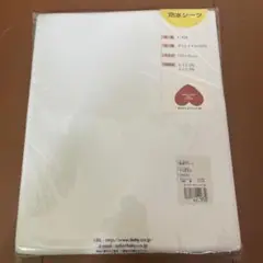 Item thumbnail for item 87659f59-85fb-4a54-822b-4ffeff9a75db