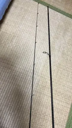 エクスセンスジェノス S97MH/F