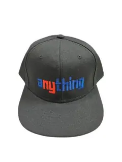 aNYthing Anything Flat Brim Logo Hat