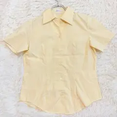 m1149 極美品✨未使用級✨ 半袖スキッパーシャツ 細ストライプ 綺麗め 黄色