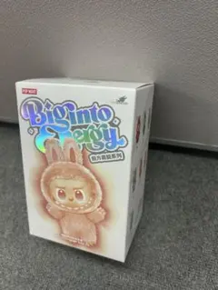 【新品、未開封】ラブブぬいぐるみ labubu Big into Energy
