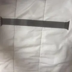 Apple Watch メッシュバンド シルバー