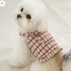 Item thumbnail for item cdaf829c-2b9b-4e4d-897d-65501e5488a6