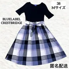 Item thumbnail for item 639a97d3-b0e8-48b6-be74-5232116aff42