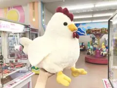 コケコッコBIG ぬいぐるみ