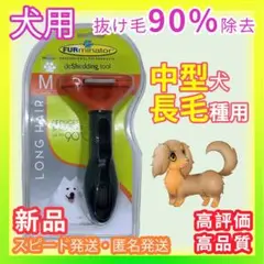 Item thumbnail for item 59788be8-39e1-45a8-9efa-606a2691a90e