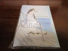 動物のお医者さん　イラストキャラリーレターカード　花とゆめ付録