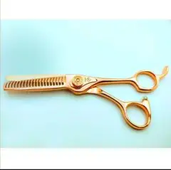 Item thumbnail for item 5e51125c-2ba6-4cd9-a2ec-99554e73b458