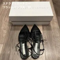 【新品未使用】ステラマッカートニー　ポインテッドフラットサンダル 37