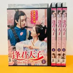 『逢君天子 ほうくんてんし』全4巻セット レンタル使用済DVD