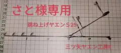 さと様専用(跳ね上げヤエンS25)