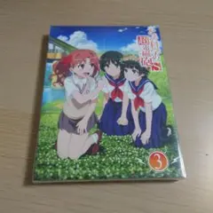 とある科学の超電磁砲S 第3巻 (初回生産限定版) [Blu-ray]