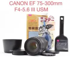 Item thumbnail for item d96eb55a-c112-4ac5-b969-4265623ce40a