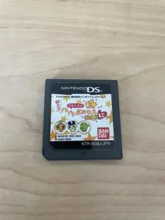 ニンテンドーDS ゲームソフト　たまごっちのぷちぷちおみせっちごひーきに