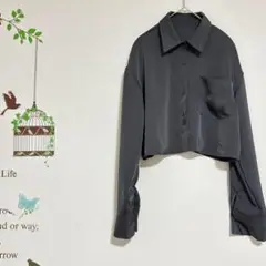 Dazy /クロップドシャツ 長袖 胸ポケット グレー Mサイズ