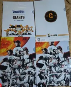 巨人　クリアファイル　4枚　読売ジャイアンツ 記念グッズ A4サイズ　東京ドーム