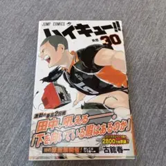 ハイキュー!! 30