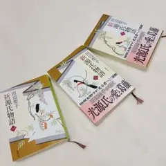 新源氏物語　3冊セット　田辺聖子