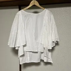 Item thumbnail for item 77a6e532-179e-4485-b713-9fb7693d94e7