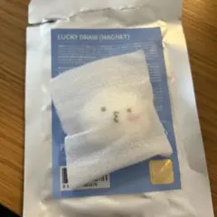 SEVENTEEN MINITEEN ラキドロ　マグネット　ウジ