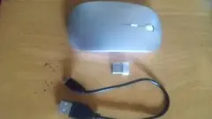 Item thumbnail for item 4a24392b-a33c-48e7-a6e2-11a668091eca