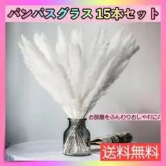パンパスグラス 15本セット ホワイト