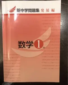 新中学問題集発展編数学1年