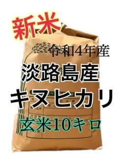 令和4年産 キヌヒカリ 新米 玄米 10 キロ 淡路島産 10kg