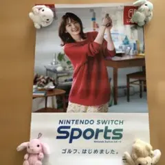Nintendo Switch ポスター 2枚セット