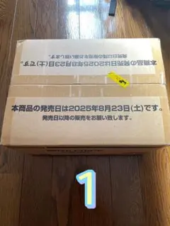 ワンピース カードゲーム 受け継がれる意志 OP-13 カートン未開封